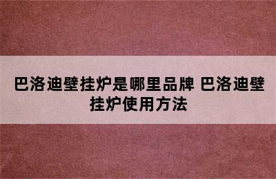 巴洛迪壁挂炉是哪里品牌 巴洛迪壁挂炉使用方法